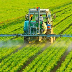 Agriculture & Forestry